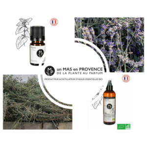 Un mas en Provence