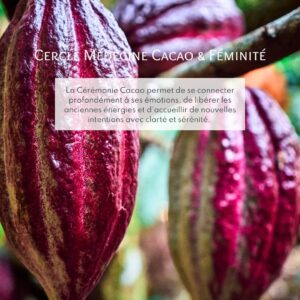Cacao en het heilige vrouwelijke: een avond van welzijn