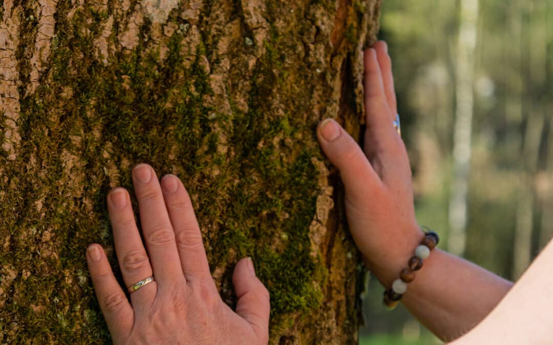 Se reconnecter à la nature pour se reconnecter à soi : les bienfaits profonds de la sylvothérapie